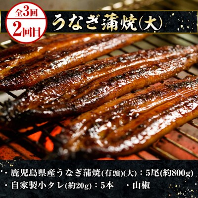 <3ヶ月定期便>いちき串木野プレミアム定期便(マグロ・鰻・牛肉)