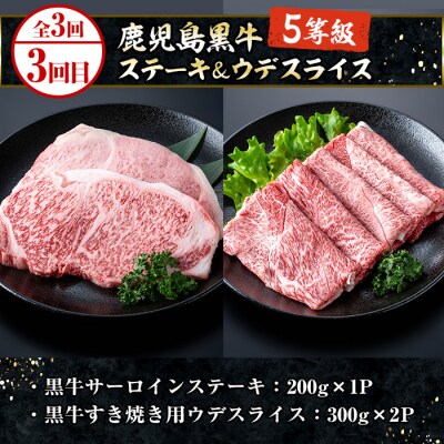 <3ヶ月定期便>いちき串木野プレミアム定期便(マグロ・鰻・牛肉)