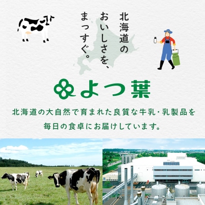 北海道 よつ葉 チーズ 6種 バター2種 計8個 贅沢食べ比べ 十勝 士幌町【Y08】