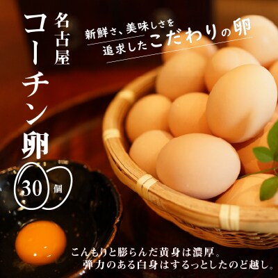 名古屋コーチン卵(30個入り)[006K01]