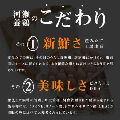 名古屋コーチン卵(30個入り)[006K01]