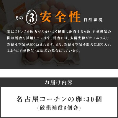 名古屋コーチン卵(30個入り)[006K01]