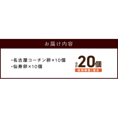 名古屋コーチン卵・仙寿卵お試しセット(各10個入り)[006K02]