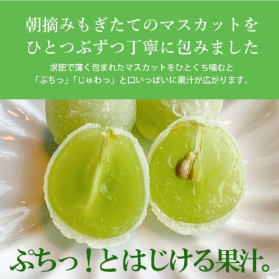 数々のメディアで紹介され大人気のひとつぶのマスカット(10個入)[018-002]