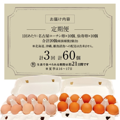 【3ヶ月定期便】名古屋コーチン卵・仙寿卵お試しセット(各10個入り)×3回 [006K02-T]