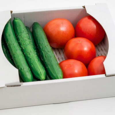 新鮮!採れたて!北本産 トマト・きゅうりセット【合計約2kg 獲れたて 産地直送 旬 野菜】