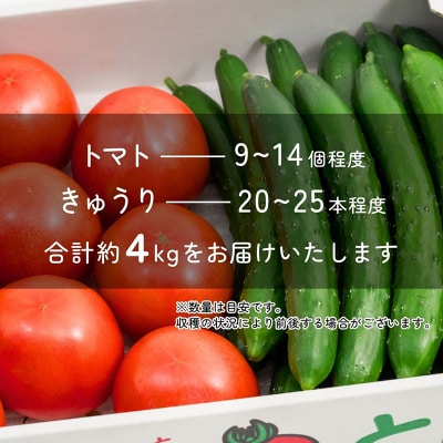 新鮮!採れたて!北本産 トマト・きゅうりセット【合計約4kg 獲れたて 産地直送 旬 野菜】