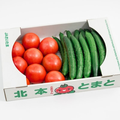新鮮!採れたて!北本産 トマト・きゅうりセット【合計約4kg 獲れたて 産地直送 旬 野菜】