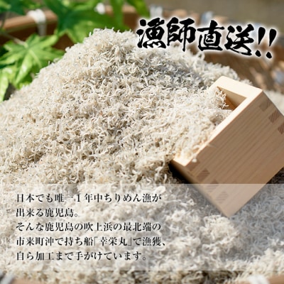 安心・安全!無添加!網元の天日干しちりめん　50g×8P　約400g