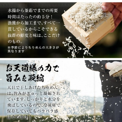 安心・安全!無添加!網元の天日干しちりめん　50g×8P　約400g