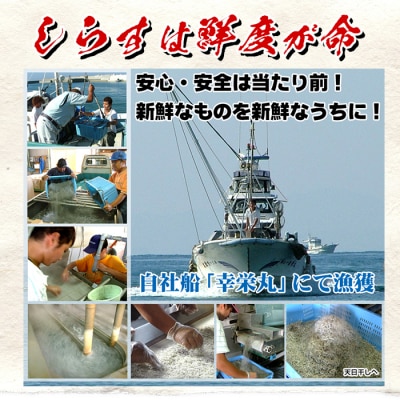 安心・安全!無添加!網元の天日干しちりめん　50g×8P　約400g