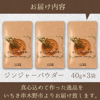 鹿児島県産ジンジャーパウダー(40g×3)自社農園の新生姜のみ使用!