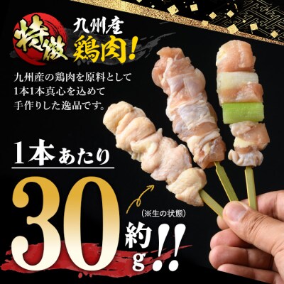 【3ヶ月毎月定期便】<生冷凍>九州産焼鳥セット5種盛合わせ