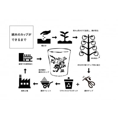 伯州綿の綿木のカップ(1個)