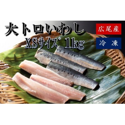大トロいわし　フィレ　XSサイズ　1kg【ハラール認証済み】(AM0005)