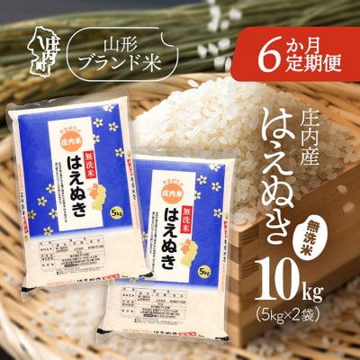 【6か月定期便】庄内米 はえぬき無洗米 10kg【6月中旬発送】