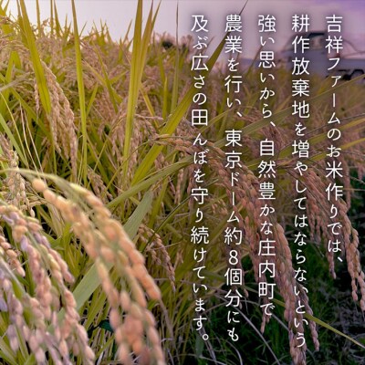 【3か月定期便】吉祥ファーム 庄内町産 おいしい米 食べ比べ<5月中旬発送>米 お米の定期便