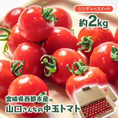 山口さんちの中玉トマト 約2kg シンディースイート 宮崎県西都市産【先行受付】[2248]