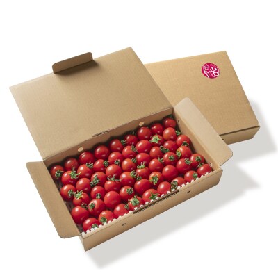 山口さんちの中玉トマト 約2kg シンディースイート 宮崎県西都市産【先行受付】[2248]