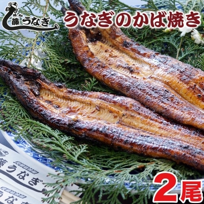 藤うなぎ　かば焼き　2尾　国産うなぎ蒲焼き 鰻[3221]