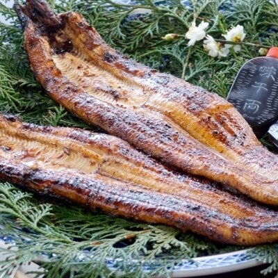 藤うなぎ　かば焼き　2尾　国産うなぎ蒲焼き 鰻[3221]