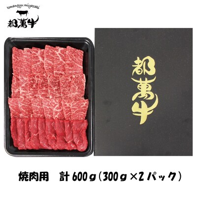 【都萬牛】黒毛和牛焼肉セット 600g(300g×2)　宮崎県産黒毛和牛[3168]