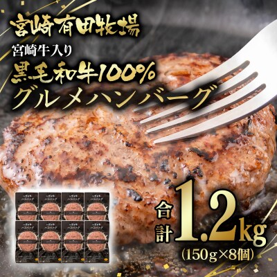 合計1.2kg!宮崎牛入り!宮崎県産黒毛和牛100%グルメハンバーグ150g×8[2823]