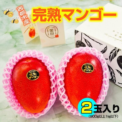 【先行受付】薗田農園　西都市産　完熟マンゴー　2玉入り[2961]