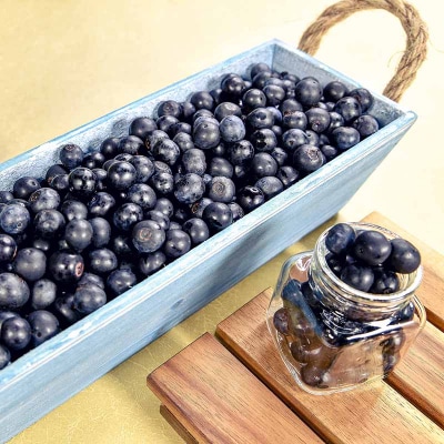 朝どれ!!新鮮生ブルーベリー250g×4　計1kg西都ブルーベリー農園【先行受付】[1889]