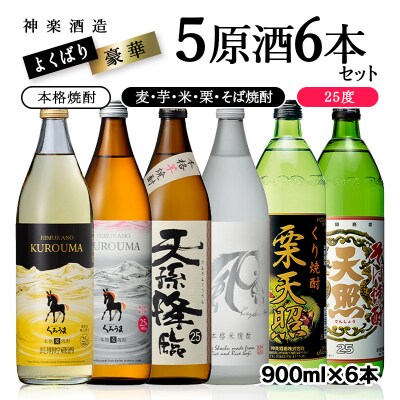 神楽酒造よくばり焼酎セット【芋・麦・米・栗・そば】5原料6本セット[3242]