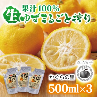 「銀の柚子」生ゆずまるごと搾りセット(保存料不使用)　かぐらの里[3194]
