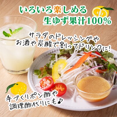 「銀の柚子」生ゆずまるごと搾りセット(保存料不使用)　かぐらの里[3194]