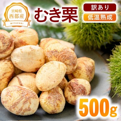 【訳あり】宮崎県西都市産　低温熟成生栗(むき栗)500g【先行受付】 [3112]
