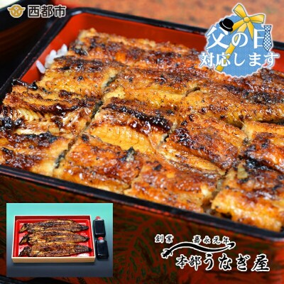 【父の日ギフト】嘉永元年創業『本部うなぎ屋』鰻の蒲焼(3尾)[3108]