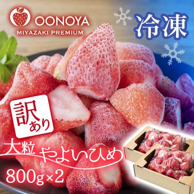 【訳あり】苺大野屋「やよいひめ」完熟冷凍苺1.6kg(800g×2)　宮崎県西都市[2895]