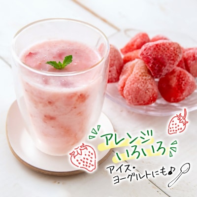 【訳あり】苺大野屋「やよいひめ」完熟冷凍苺1.6kg(800g×2)　宮崎県西都市[2895]