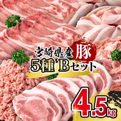 宮崎県産豚肉 満載Bセット4.5kg 小分け スライス とんかつ 小間切れ ミンチ[3097]