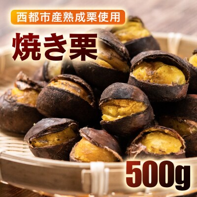 低温熟成栗使用!焼き栗 2パック 合計500g[2326]