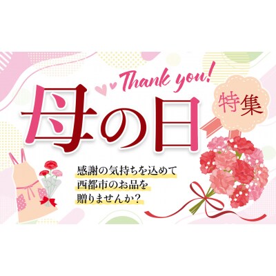 【母の日ギフト】嘉永元年創業『本部うなぎ屋』鰻の蒲焼(3尾)[3108]