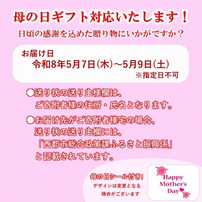 【母の日ギフト】嘉永元年創業『本部うなぎ屋』鰻の蒲焼(3尾)[3108]