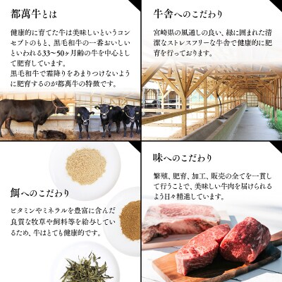 【父の日ギフト】【都萬牛】黒毛和牛焼肉セット 300g宮崎県産黒毛和牛[3167]