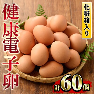 鹿児島県産!健康電子卵(計60個・10個入り×6P)