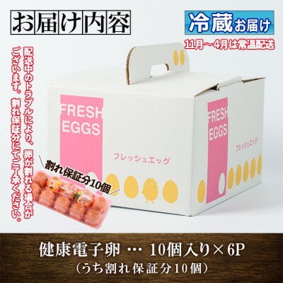 鹿児島県産!健康電子卵(計60個・10個入り×6P)
