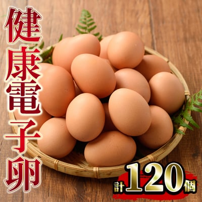 鹿児島県産!健康電子卵(計120個・10個入り×12P)