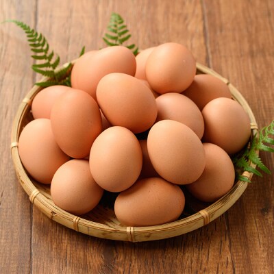 【6か月定期便】鹿児島県産!健康電子卵(計60個 計120個 全6回お届け♪ )