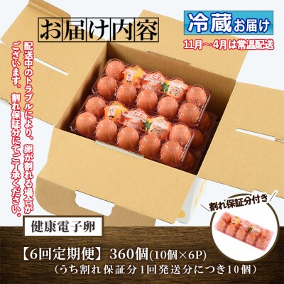 【6か月定期便】鹿児島県産!健康電子卵(計60個 計120個 全6回お届け♪ )