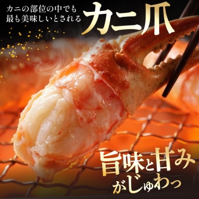 かに リピーター続出! 本ずわいがに爪 約700g 20564321