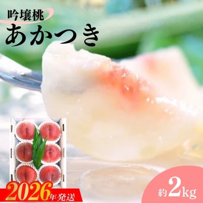 【限定50箱】吟壌桃「あかつき」 約2kg【2026年発送】No.1520