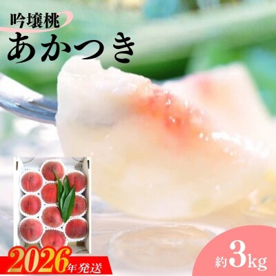 吟壌桃「あかつき」約3kg【2026年発送】No.2320