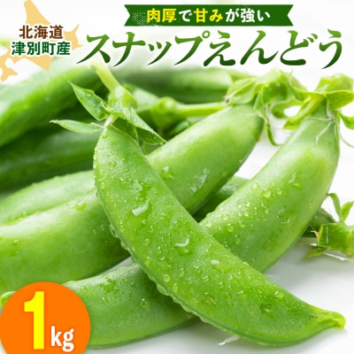 R8年産 スナップえんどう(品種:グルメ) 1kg ピンクの八百屋〜ナツやさい〜 | 北海道津別町